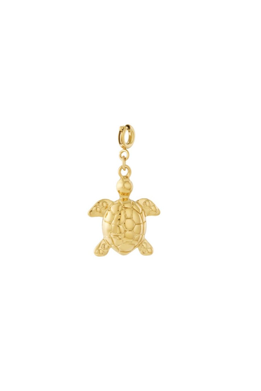 Golden Ocean Turtle Bedel