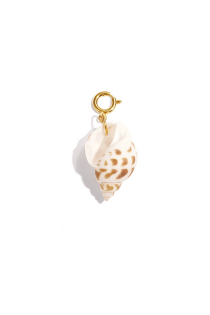 Ocean Schelp Bedel